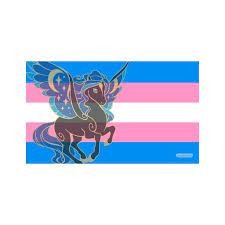 Transgender Unicorn Flag - Playmat